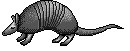  armadillo1