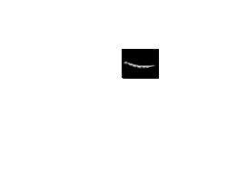 acheeta.gif